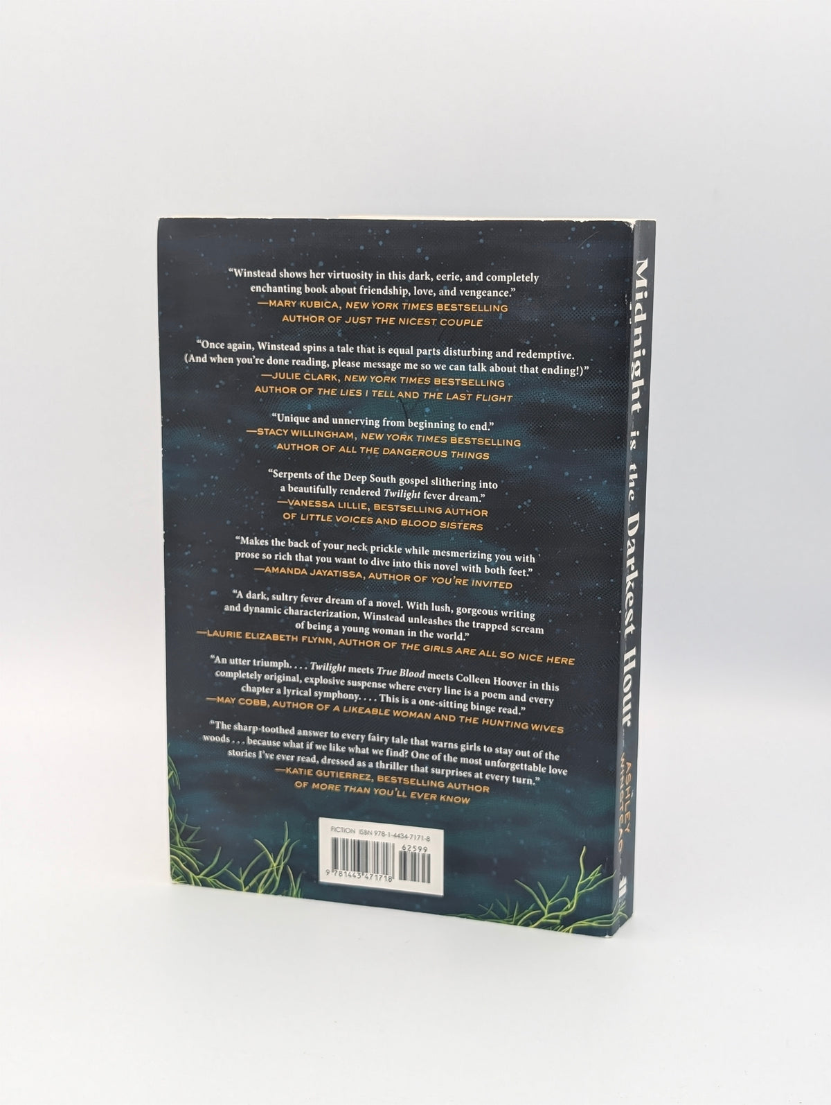 Midnight Is the Darkest Hour: A Novel