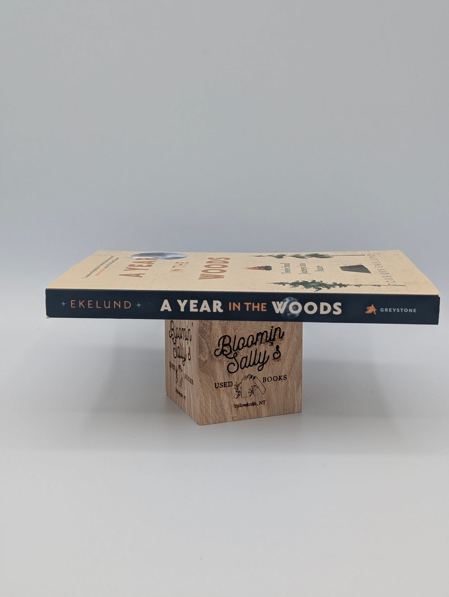 A Year in the Woods: Twelve Small Journeys into Nature