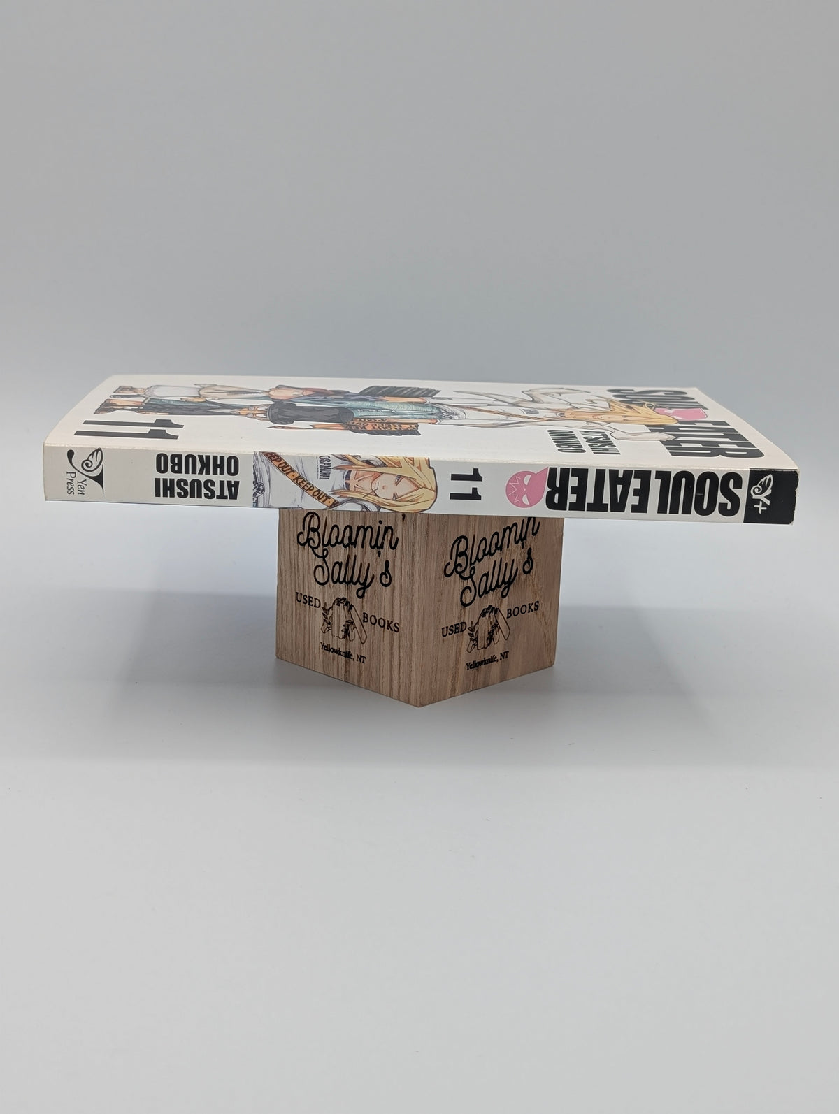 Soul Eater, Vol. 11 (Volume 11)