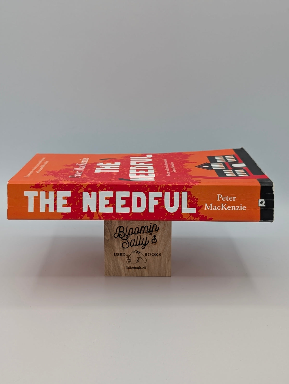 The Needful: A year in an international school in Africa
