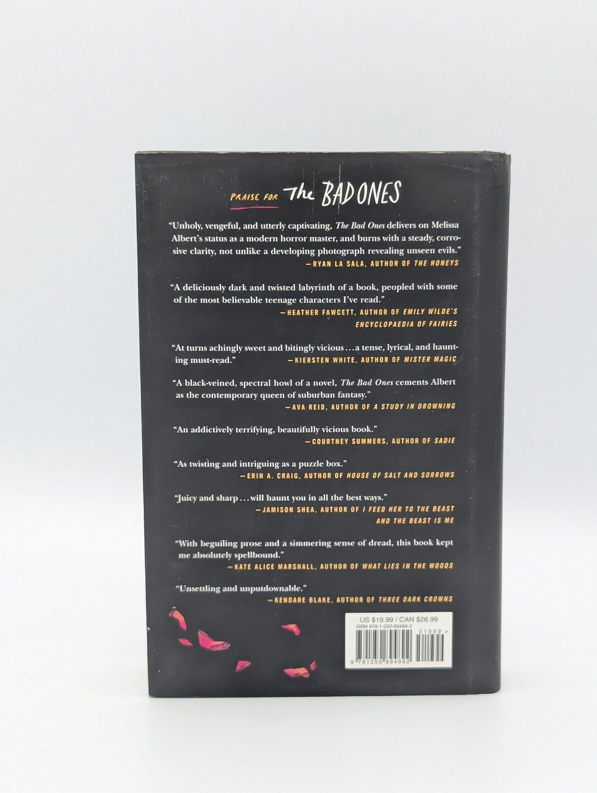 The Bad Ones: A Novel
