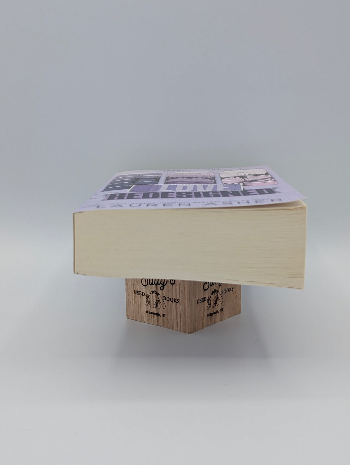 Love Redesigned (Lakefront Billionaires, 1)