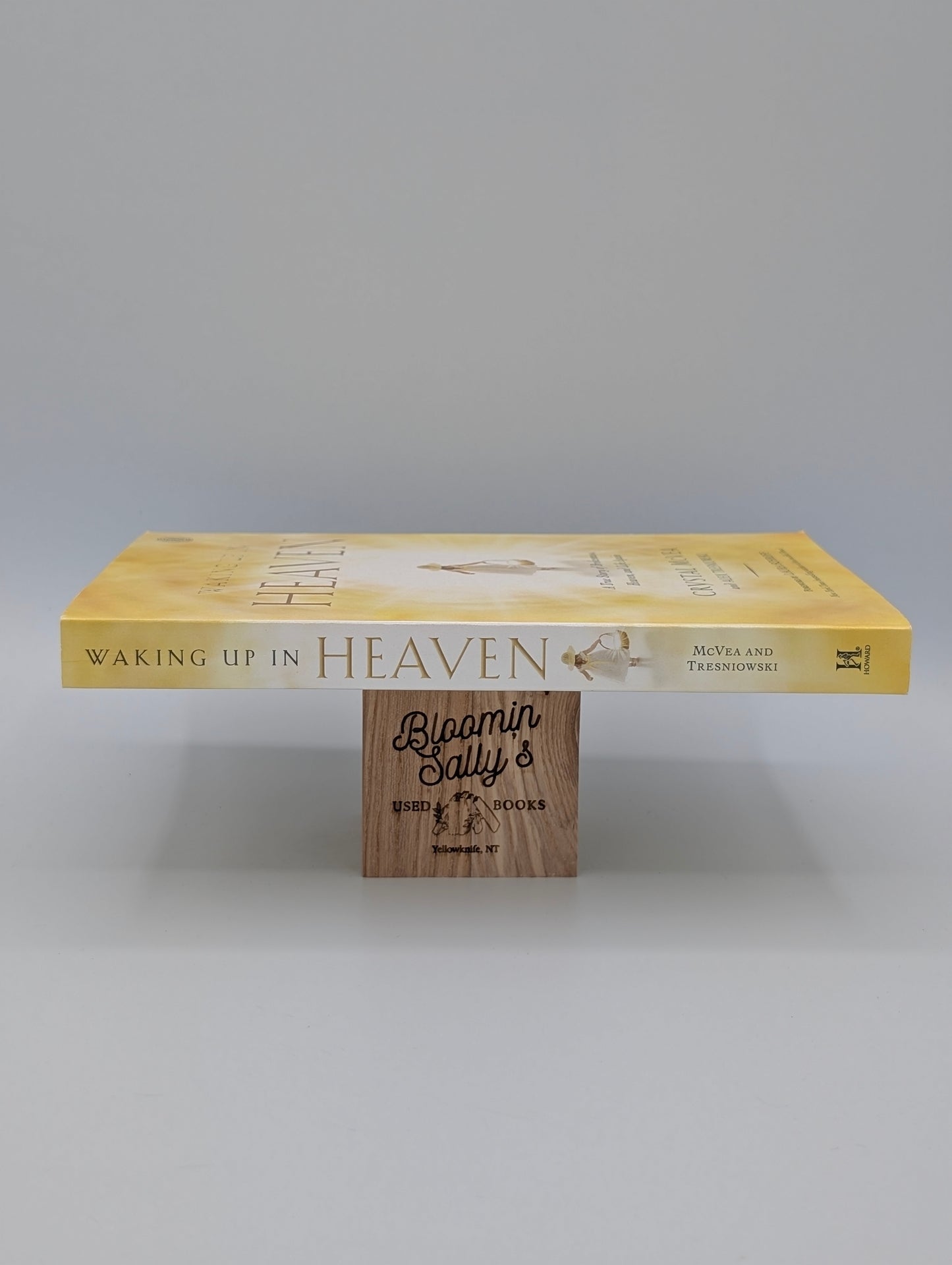 Waking Up in Heaven: A True Story of Brokenness, Heaven, and Life Again