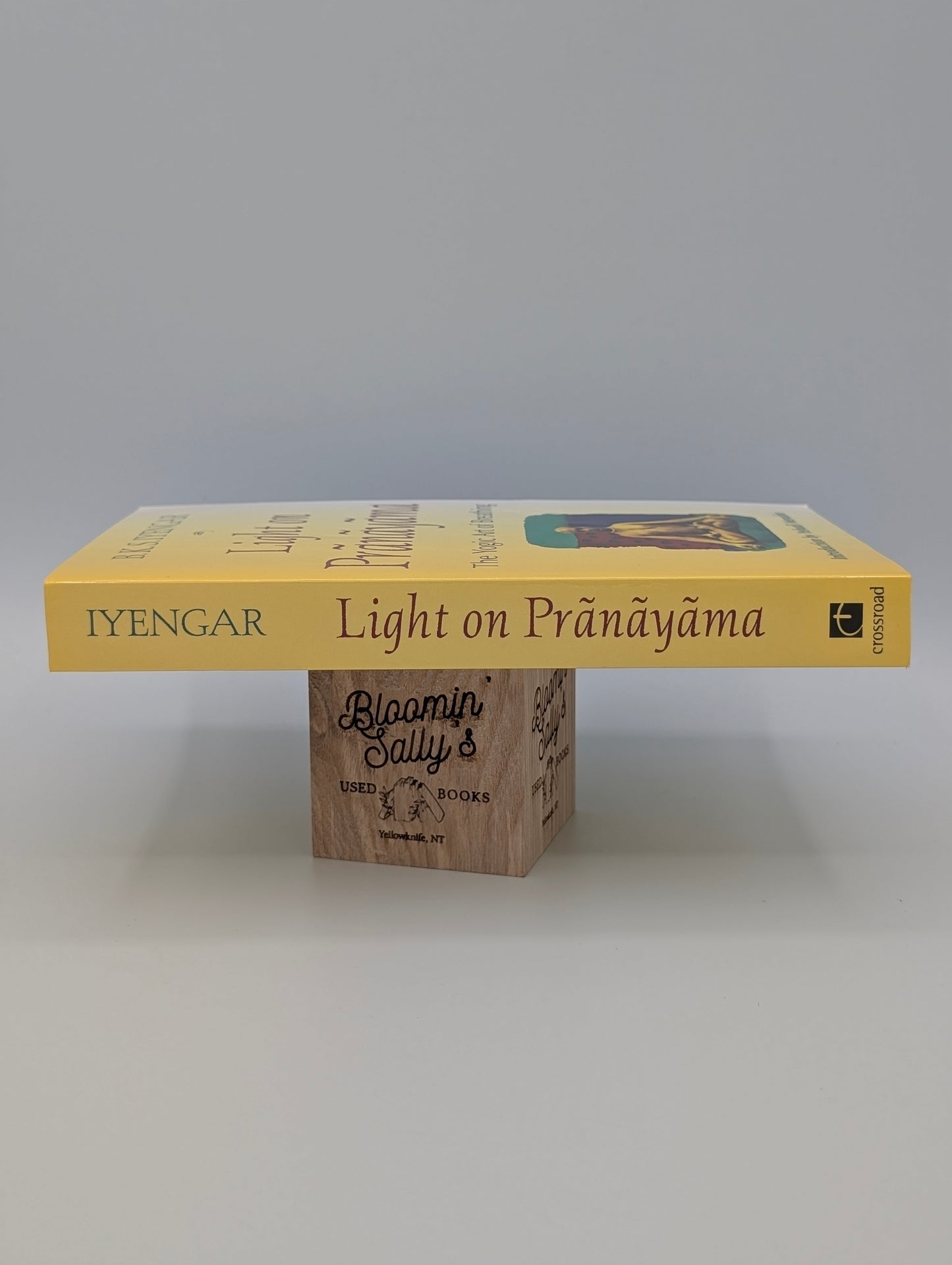 Light on Prãnãyãma: The Yogic Art of Breathing