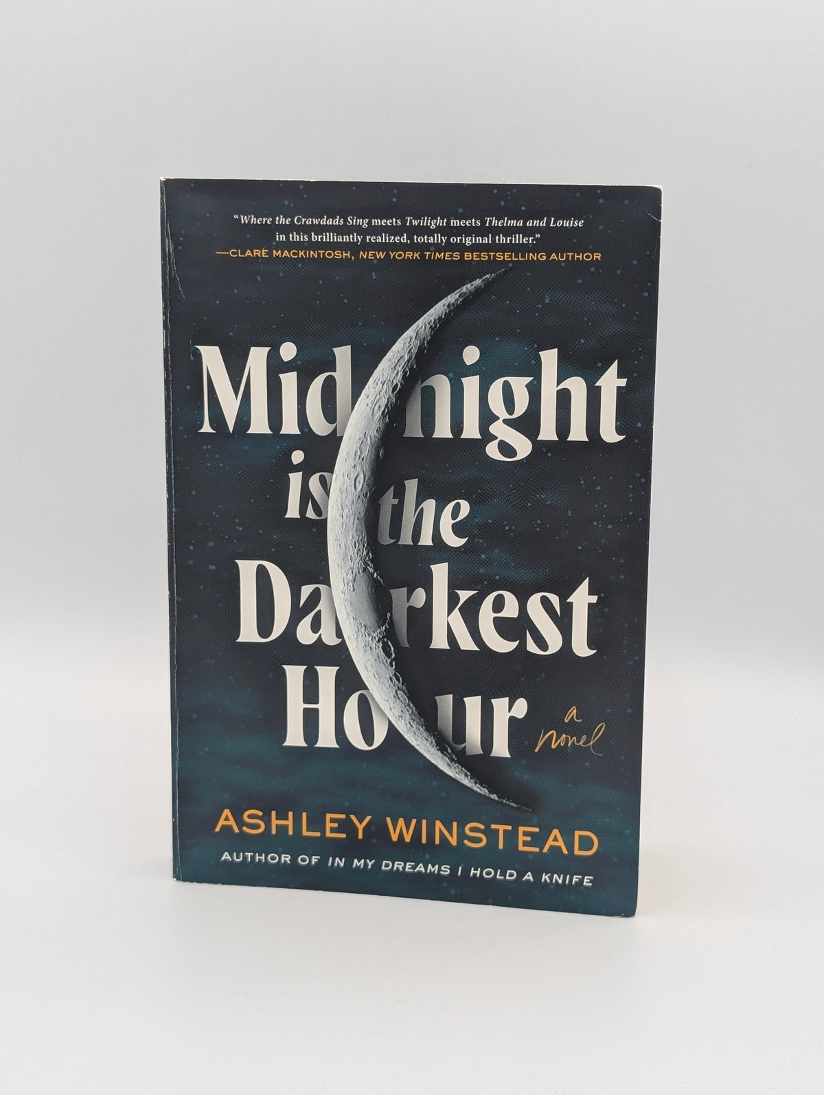 Midnight Is the Darkest Hour: A Novel