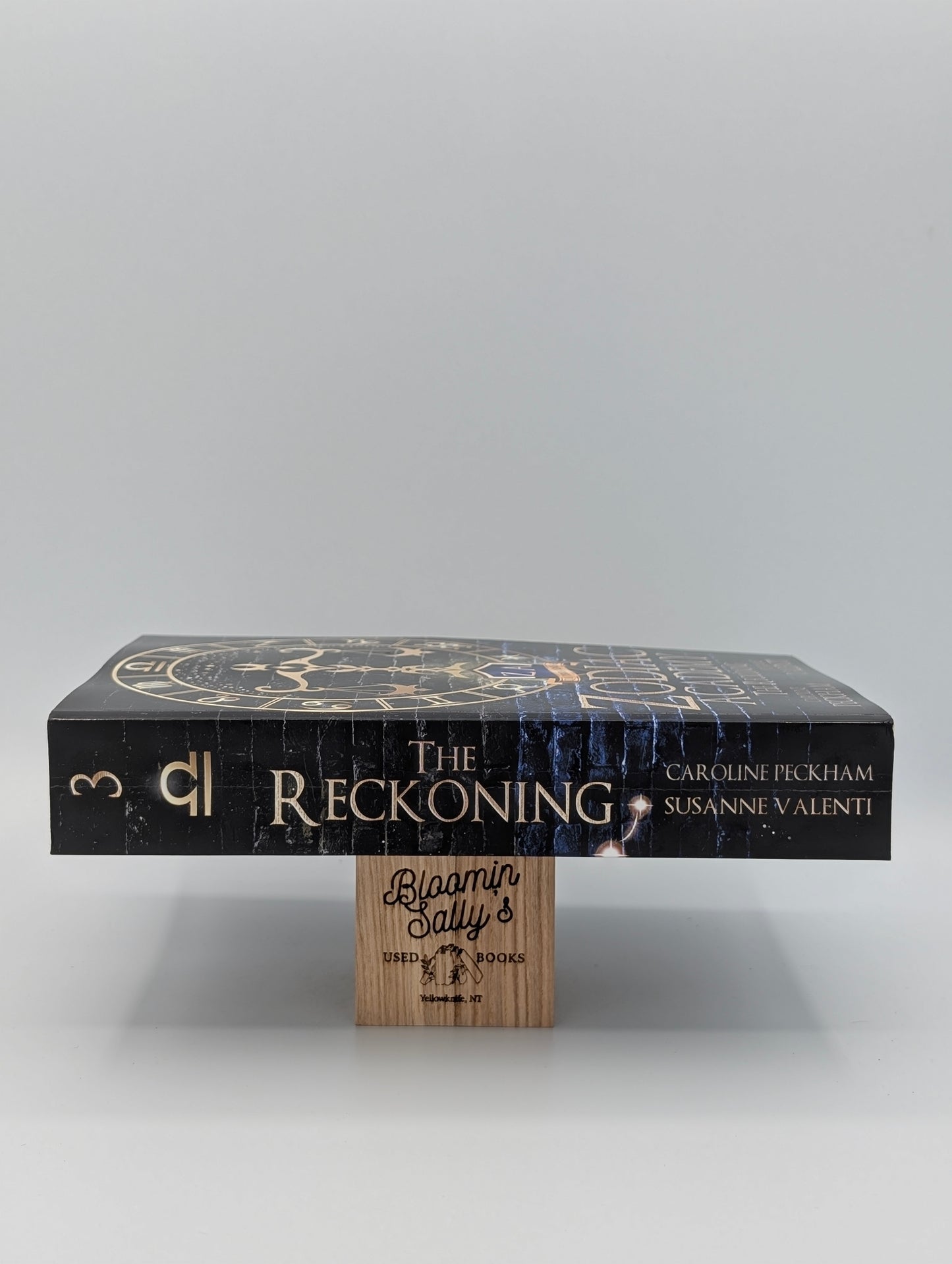 Zodiac Academy 3: The Reckoning