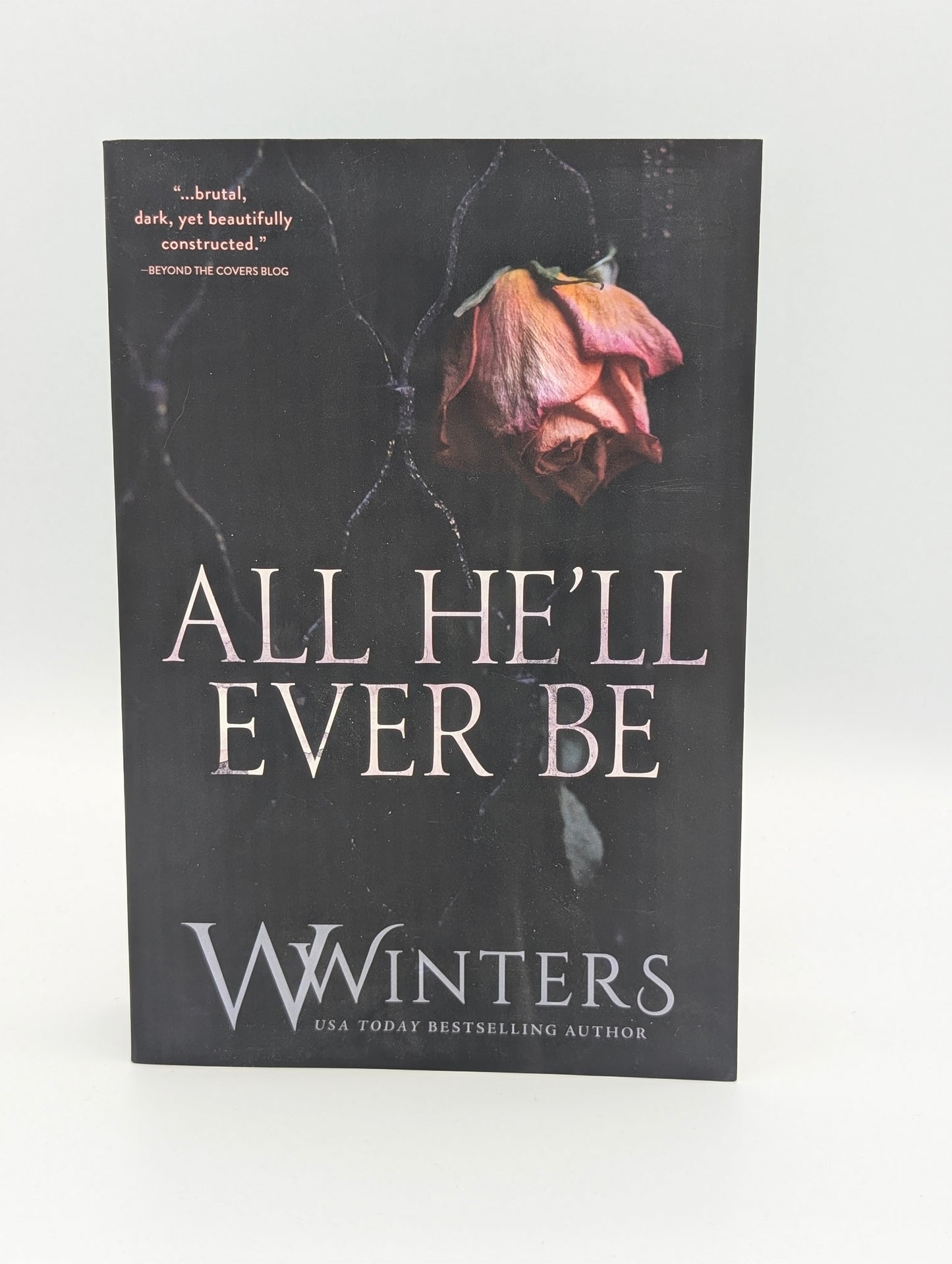 All He'll Ever Be (Merciless World Series)
