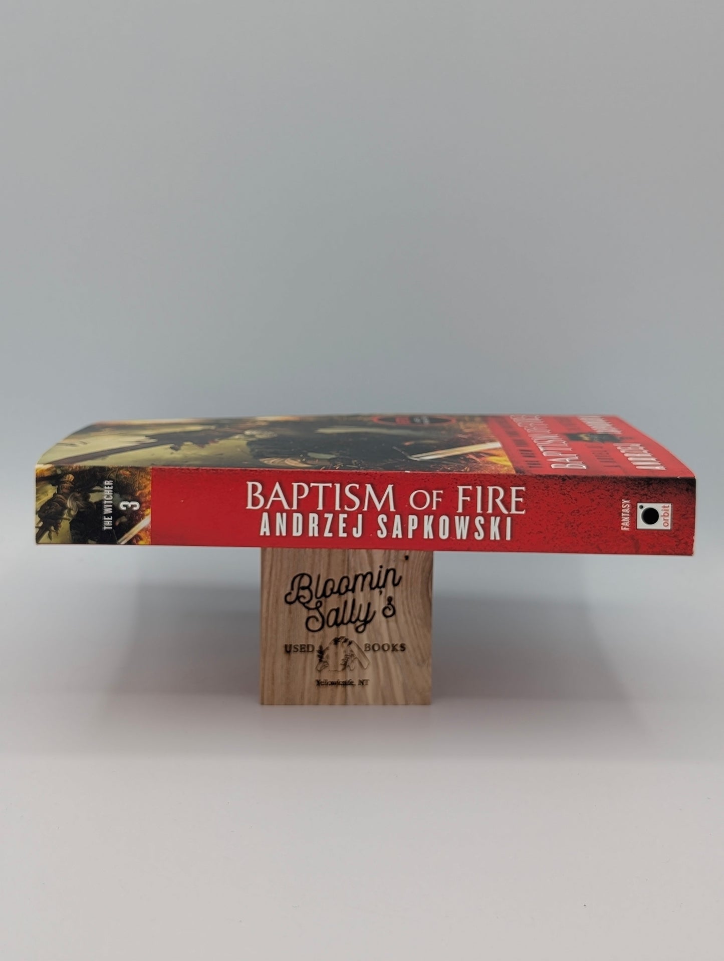 Baptism of Fire (The Witcher, 5)