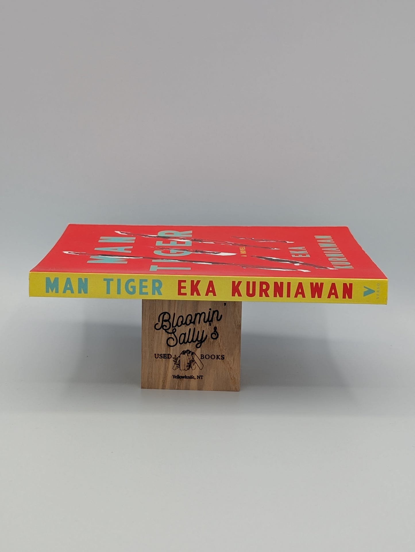 Man Tiger: A Novel