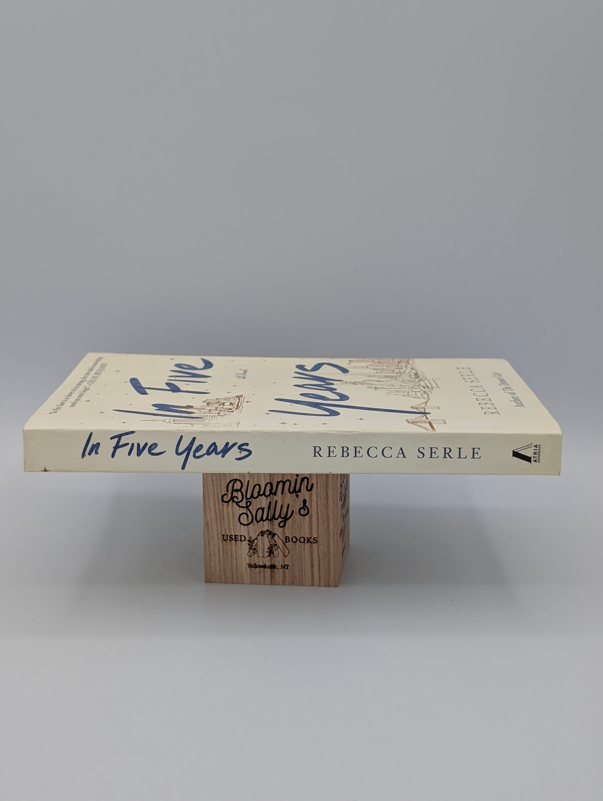 In Five Years: A Novel
