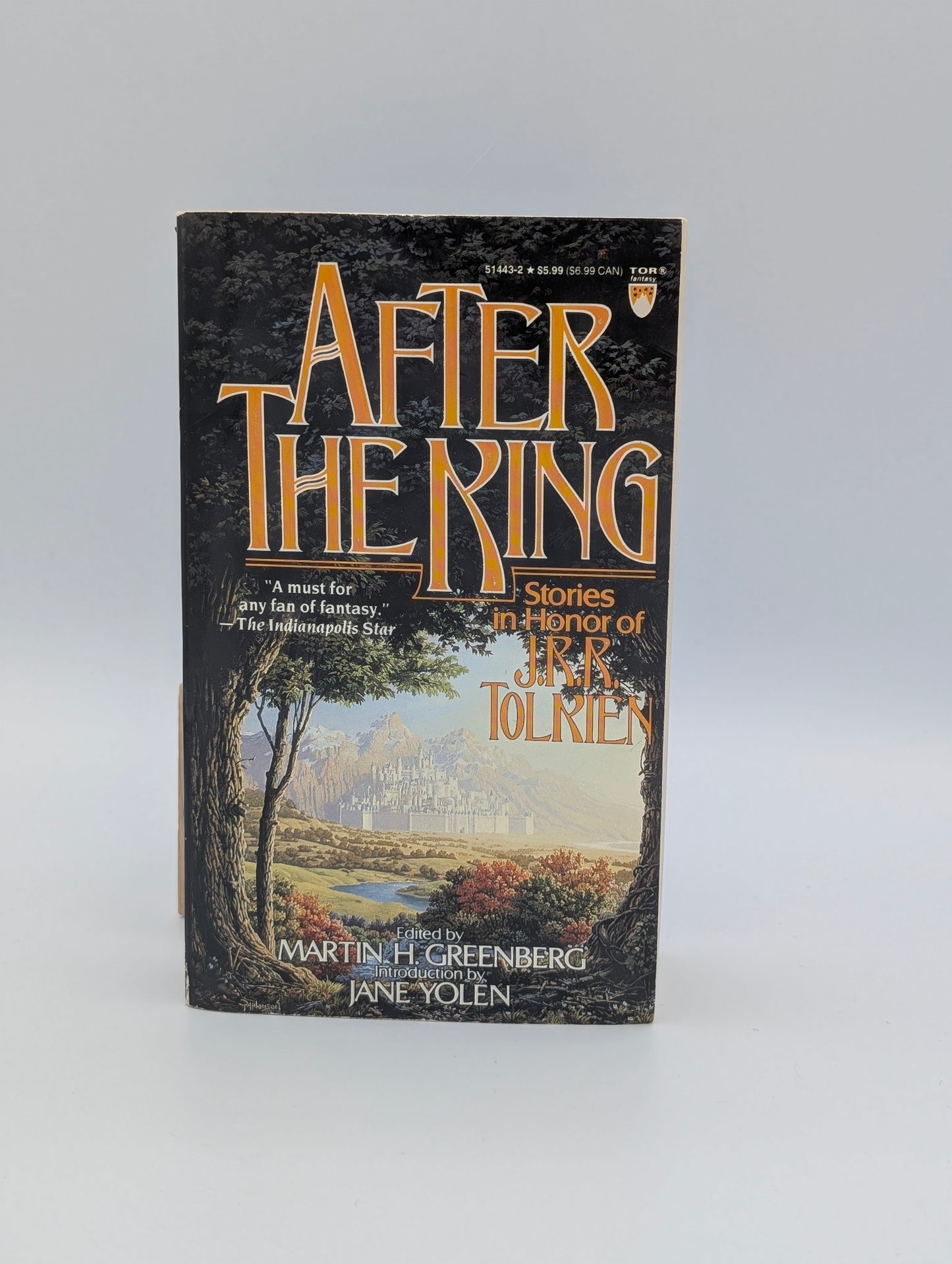 After the King: Stories In Honor of J.R.R. Tolkien