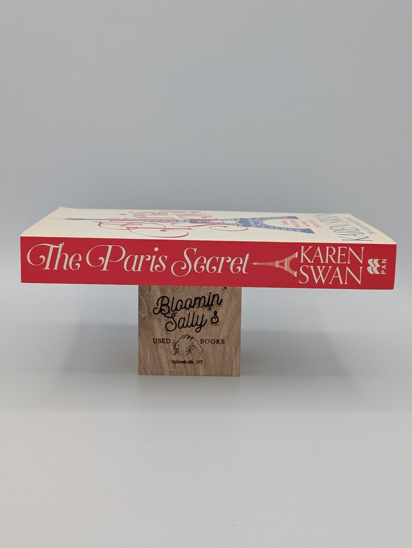 The Paris Secret