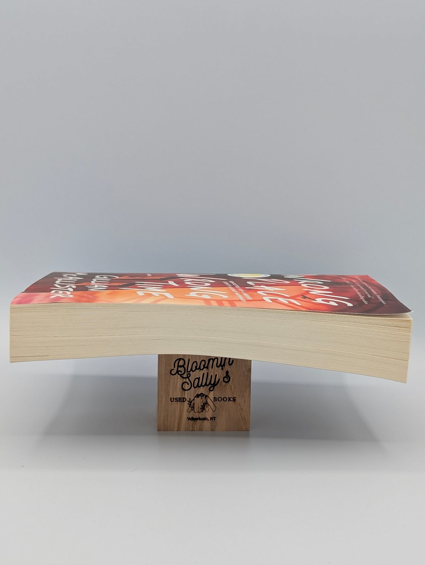 Wrong Place Wrong Time: A Novel (Excellent)