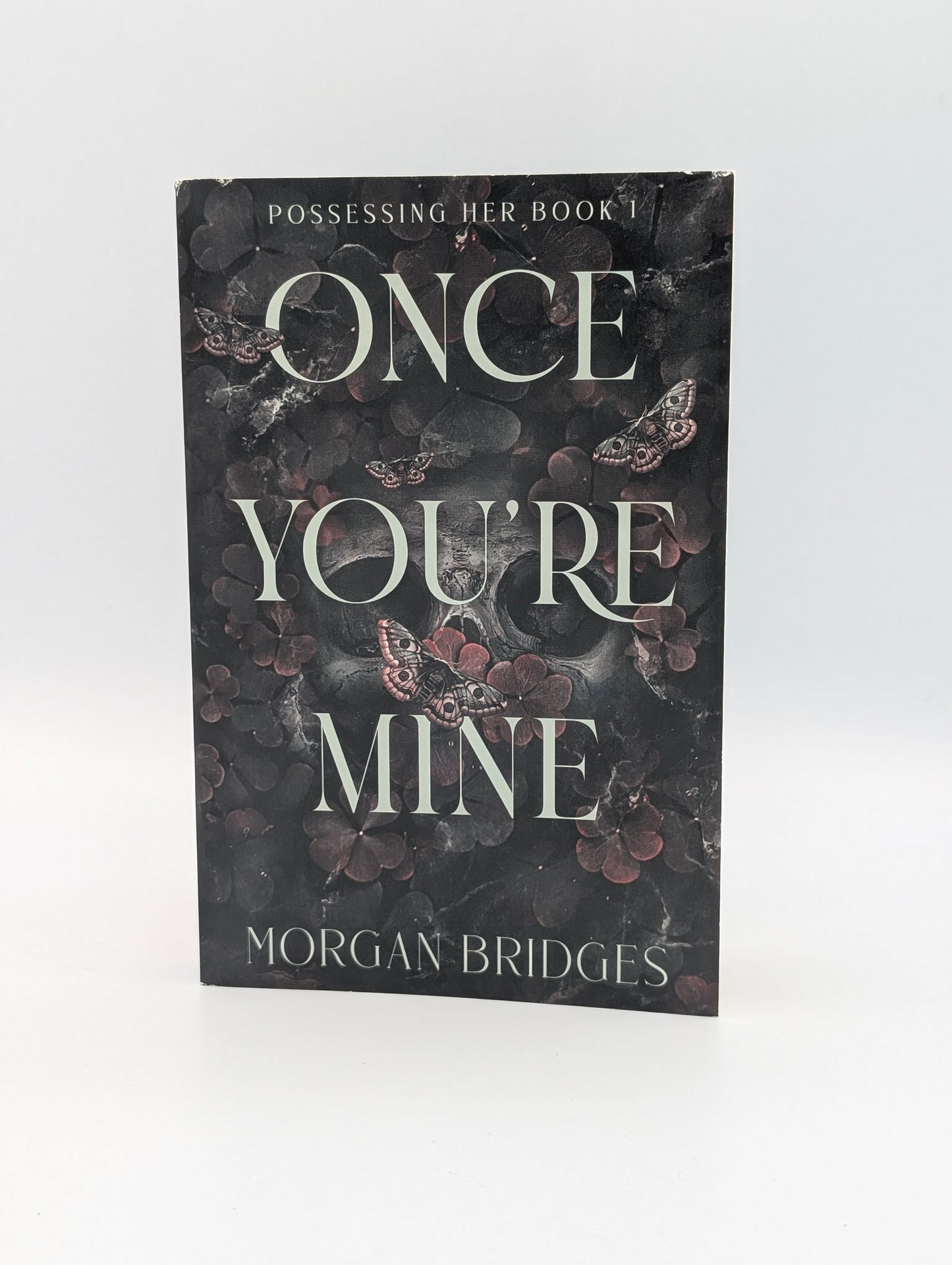 Once You're Mine: A Dark Stalker Romance