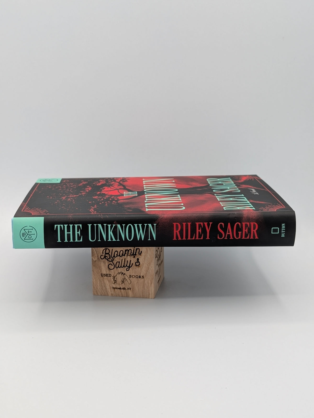 The Unknown: A Novel