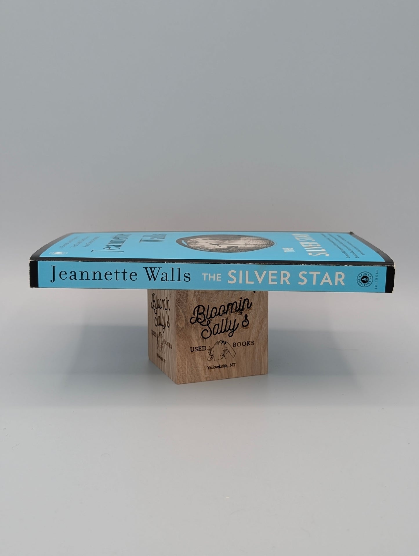 The Silver Star: A Novel